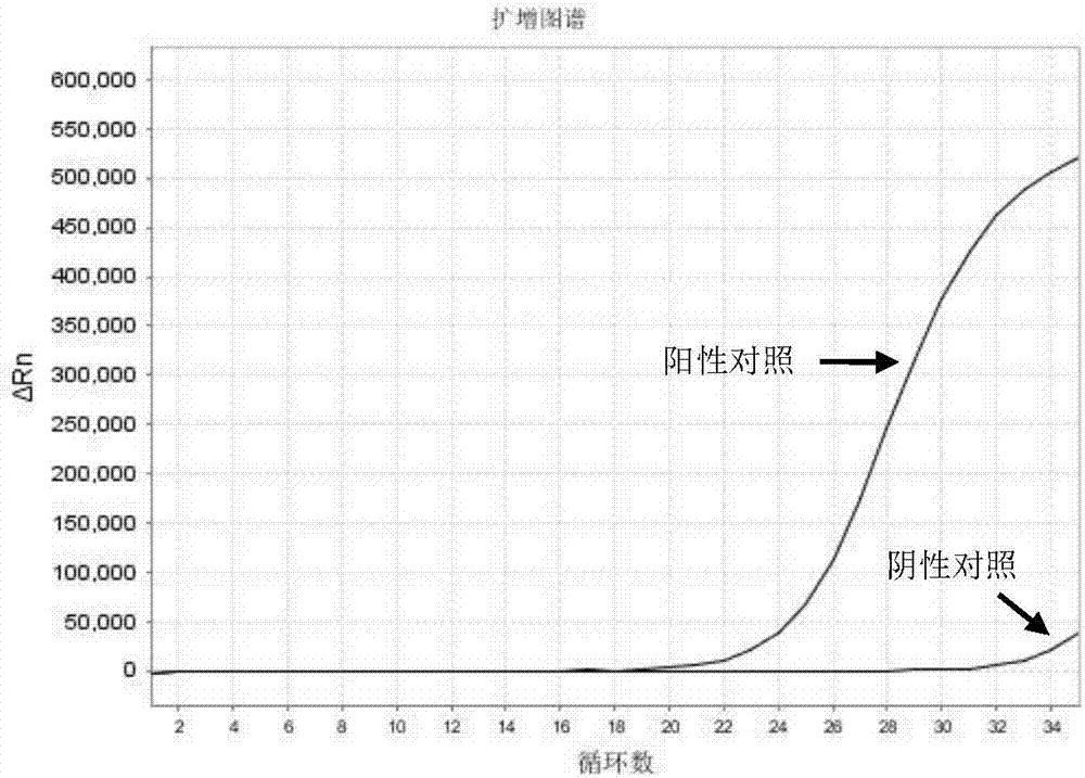 一種用于檢測外周血EGFR基因T790M突變的試劑盒及其方法與流程