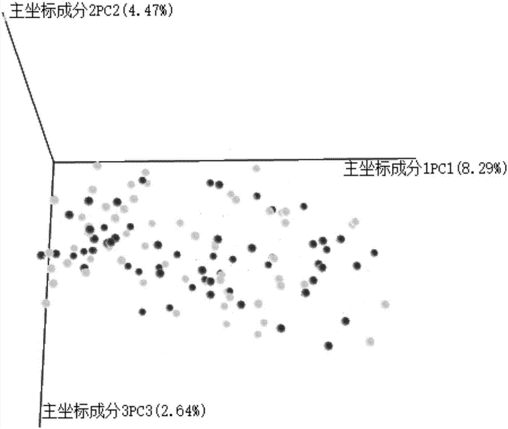 兒童自閉癥腸道菌群多樣性的分析方法及特異性引物對與流程