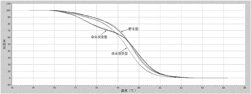 一種檢測(cè)痛風(fēng)易感基因SNP基因型的方法、引物及試劑盒與流程