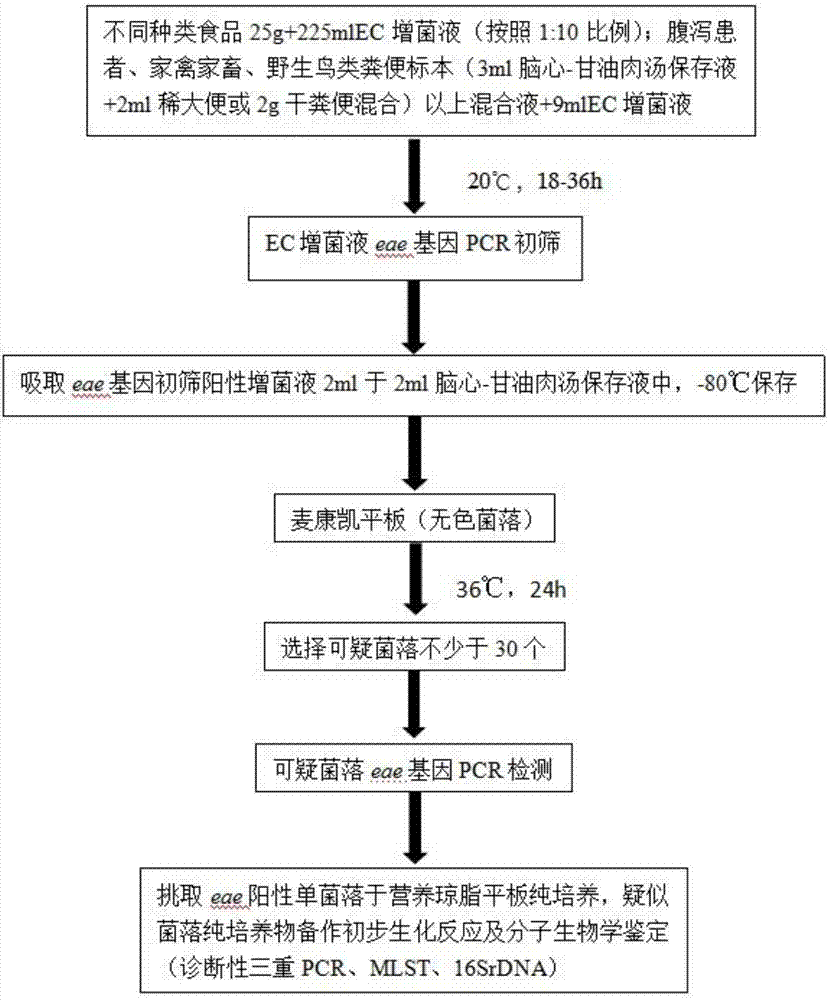 一種艾伯特埃希菌的檢測方法與流程