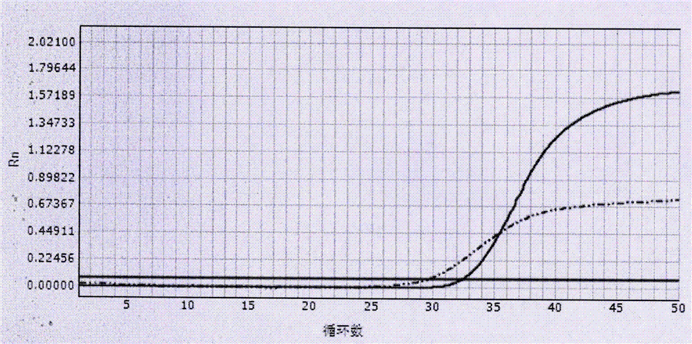 一种样本直接加入的HCMV DNA一步法测定试剂盒的制造方法与工艺