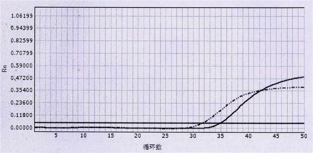 一種樣本直接加入的EBV DNA一步法測定試劑盒的制造方法與工藝