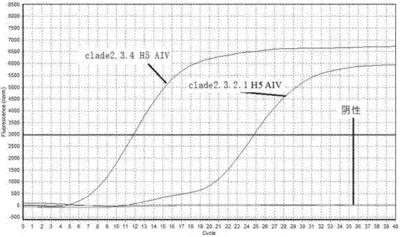 區(qū)分clade2.3.4和clade2.3.2.1 H5 AIV的定量PCR引物的制造方法與工藝