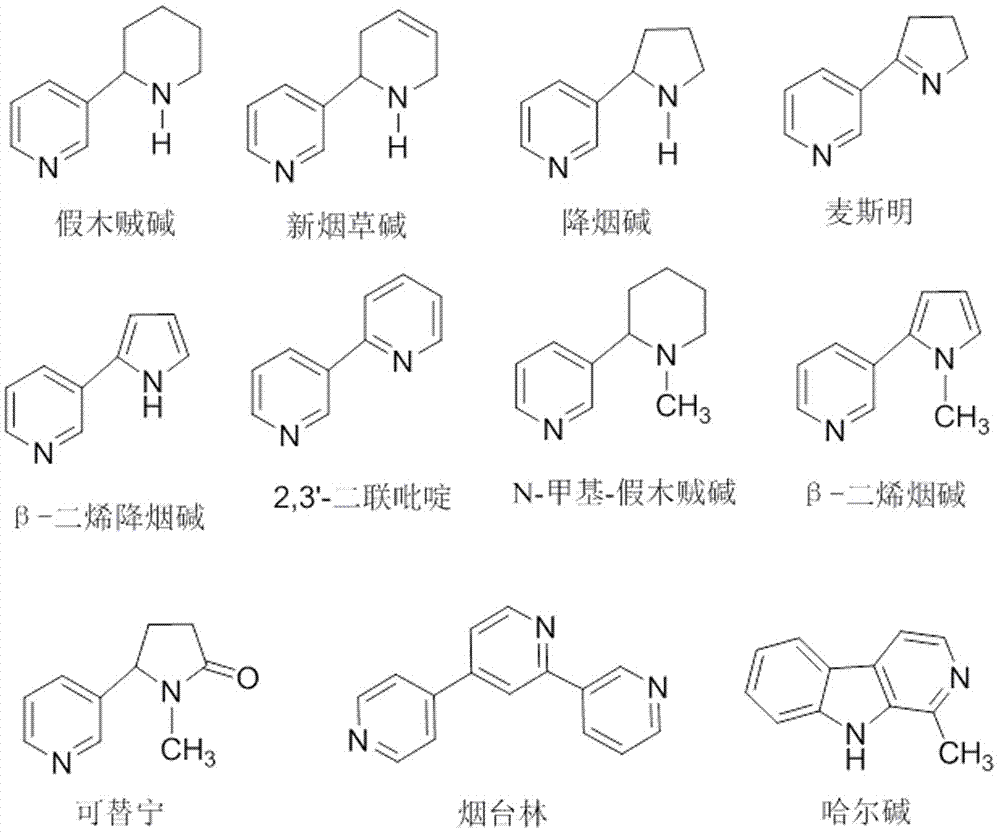 一种同时测定烟碱中11种次要生物碱杂质含量的方法与流程