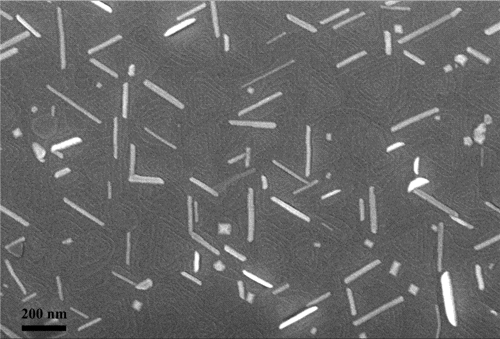 一种螺旋结构的碲化铋纳米片薄膜及其制备方法与流程