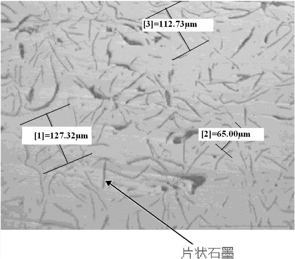 一种铸铁搪瓷及其制备方法与流程