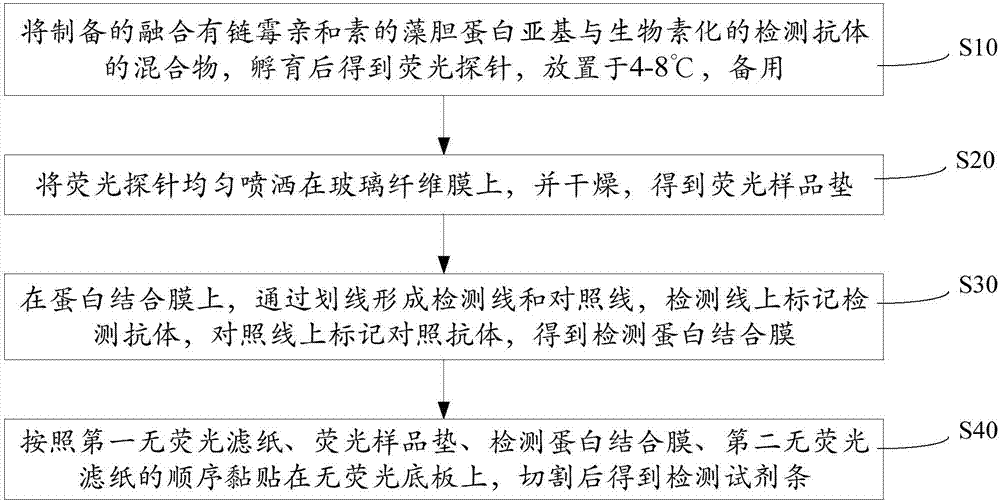 一种利用重组荧光藻胆蛋白亚基的检测试剂条及其制备方法与流程