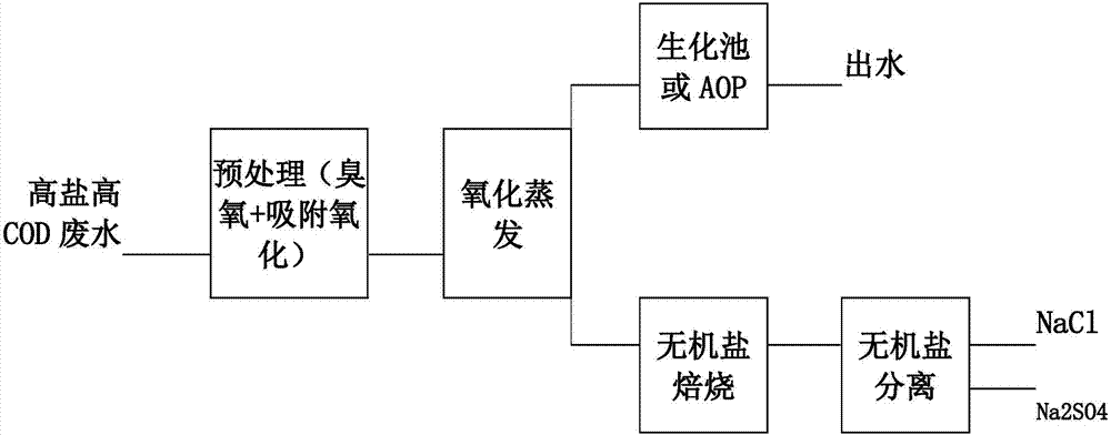 一种组合处理高盐和高COD污水的装置的制造方法