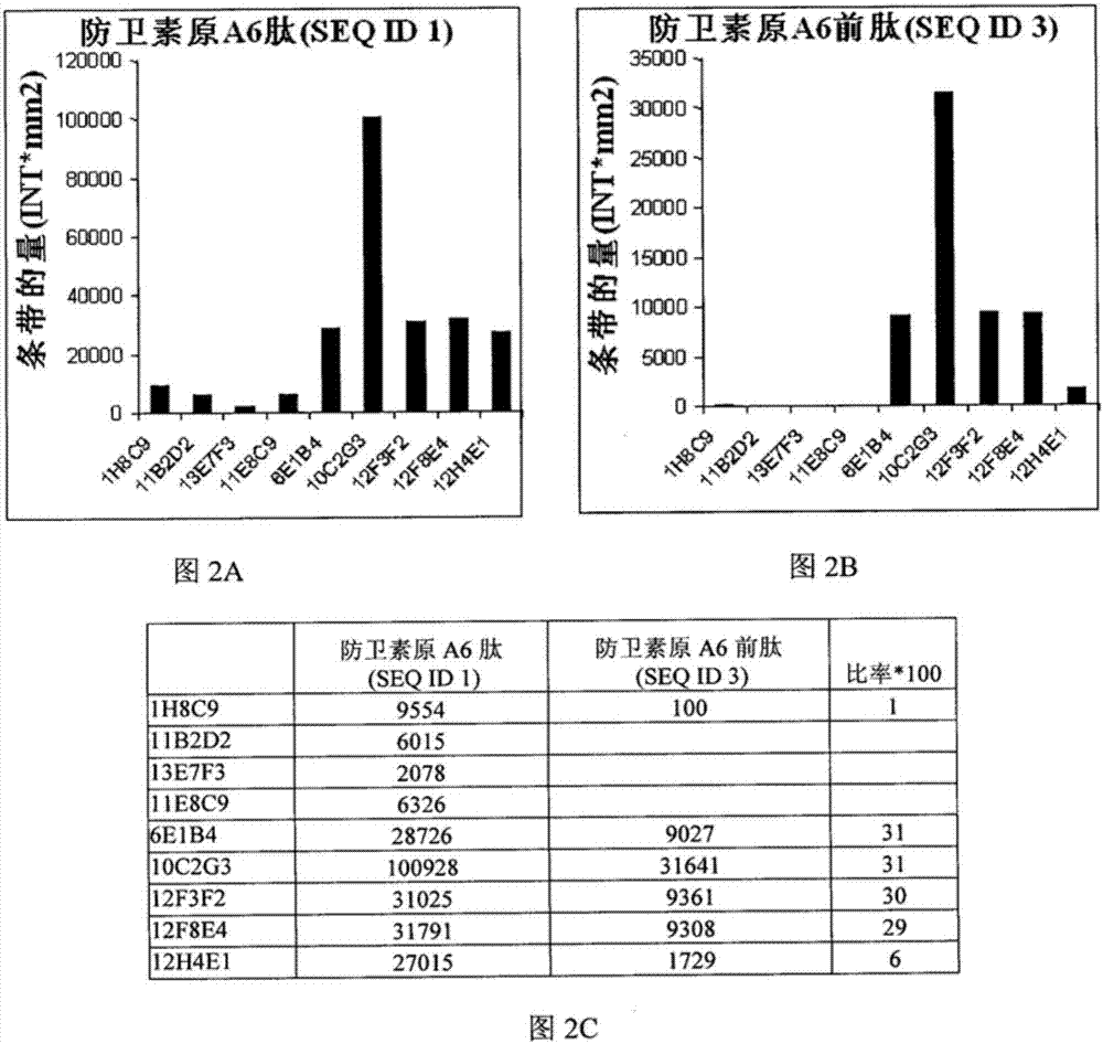 用于結(jié)腸直腸癌體外診斷的防衛(wèi)素原?A6測(cè)定方法與流程