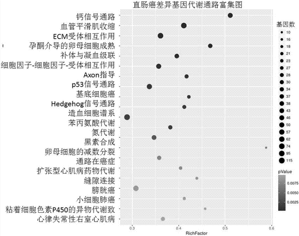 一種利用公共數(shù)據(jù)資源發(fā)現(xiàn)并整合直腸癌相關(guān)基因及其功能分析的方法及系統(tǒng)和應(yīng)用與流程