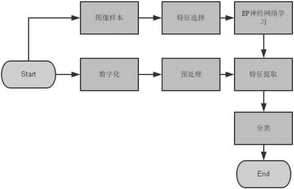 基于生物樣本顏色的自助身體參數(shù)檢查方法及系統(tǒng)與流程