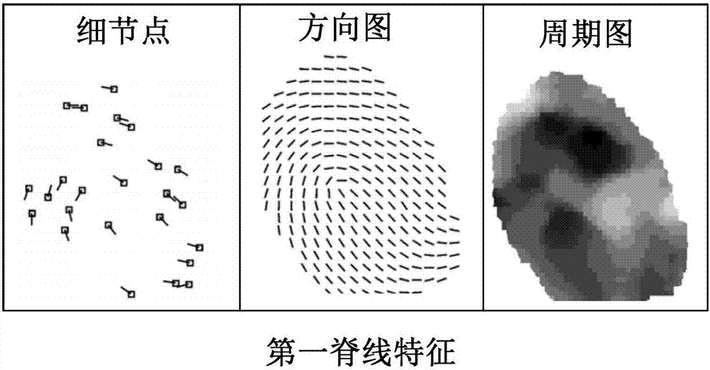 指紋配準(zhǔn)方法及裝置與流程