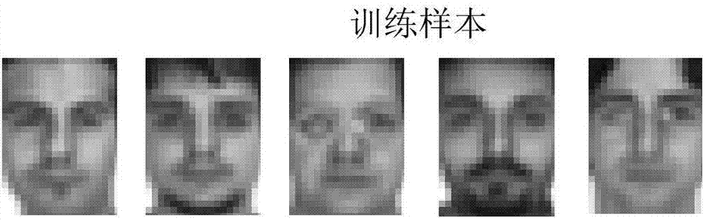 一种快速协同表示人脸分类方法与流程