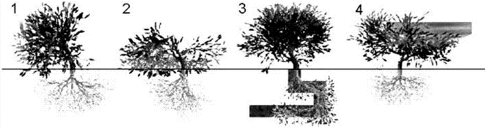 基于植物根系觅食优化的多阈值金属微滴图像分割方法与流程