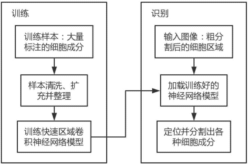 一種無監(jiān)督式的宮頸細(xì)胞圖像自動(dòng)分割方法及系統(tǒng)與流程