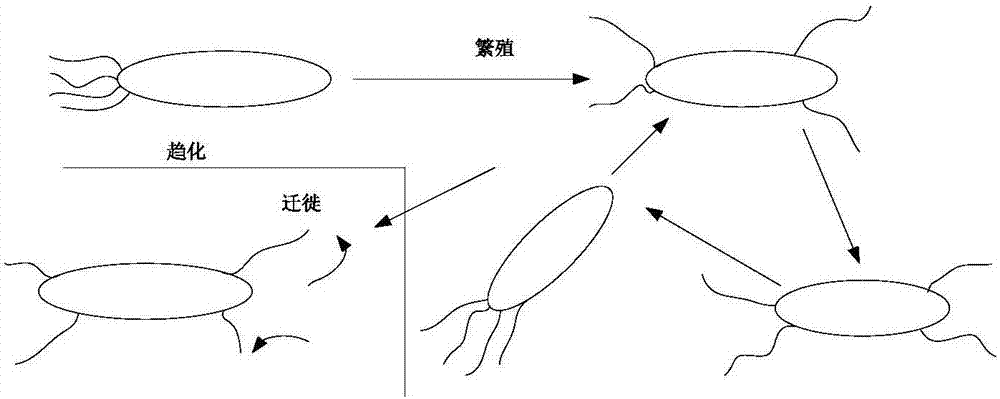 一種基于菌群優(yōu)化的DV?HOP室內(nèi)定位改進(jìn)算法的制造方法與工藝