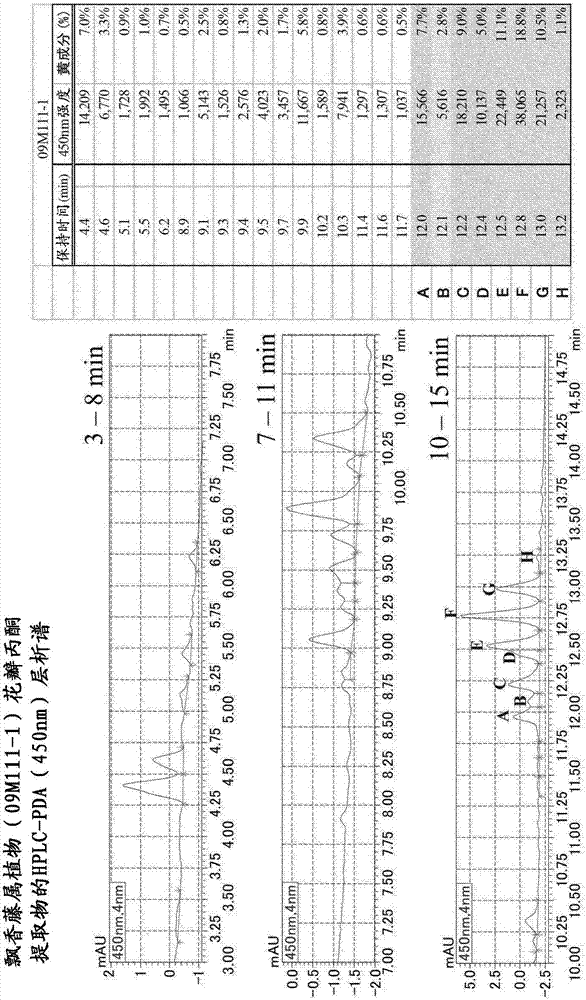 新飄香藤屬植物及其制出方法與流程