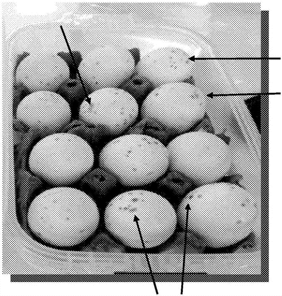 用于改善帶殼蛋的質(zhì)量的生物防治組合及方法與流程