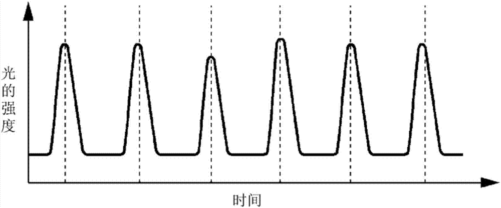 生物體信息處理裝置和生物體信息處理方法與流程