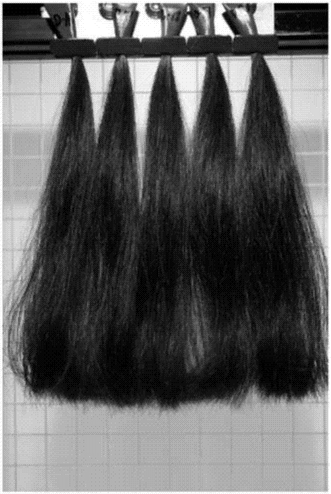 利用浓缩型调理剂处理毛发的方法与流程