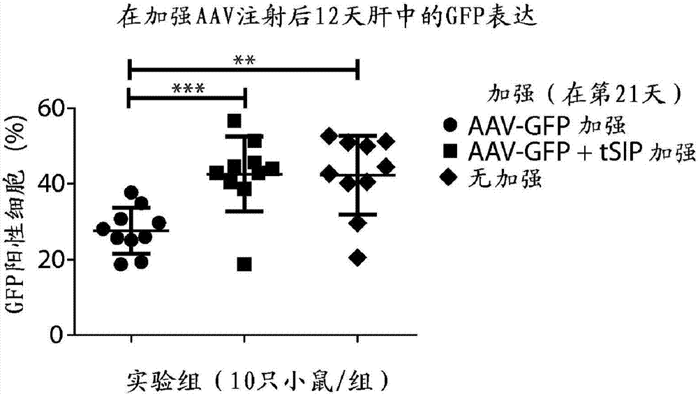 用于減弱基因治療抗病毒轉移載體免疫應答的方法和組合物與流程