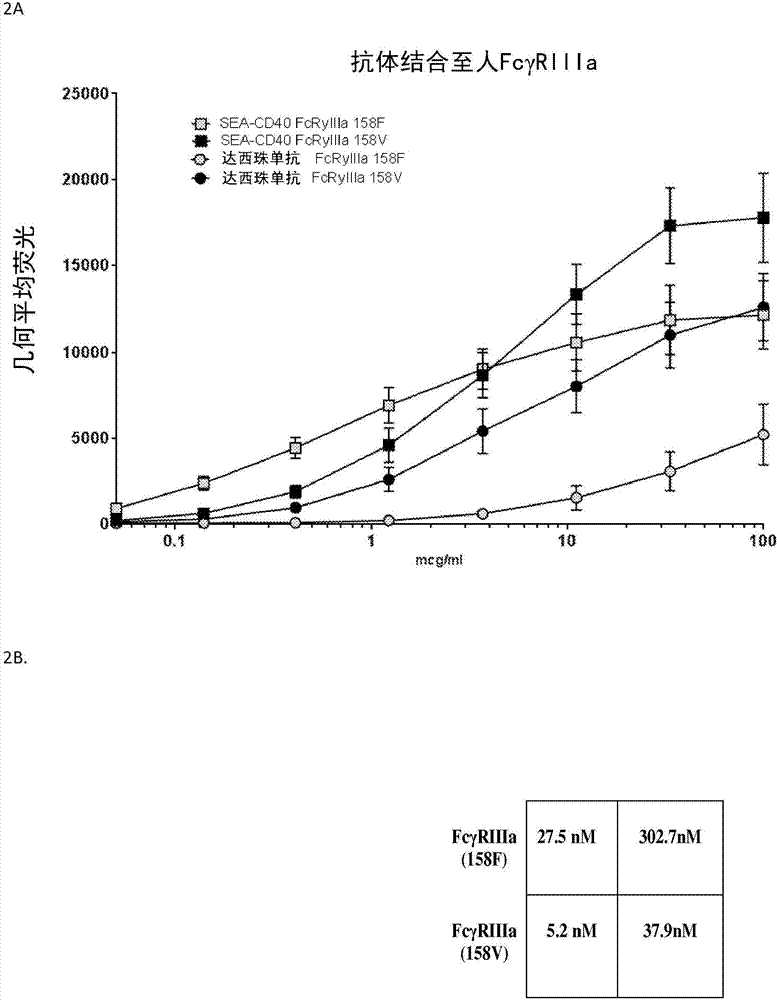 非巖藻糖基化抗CD40抗體的劑量和給藥的制造方法與工藝