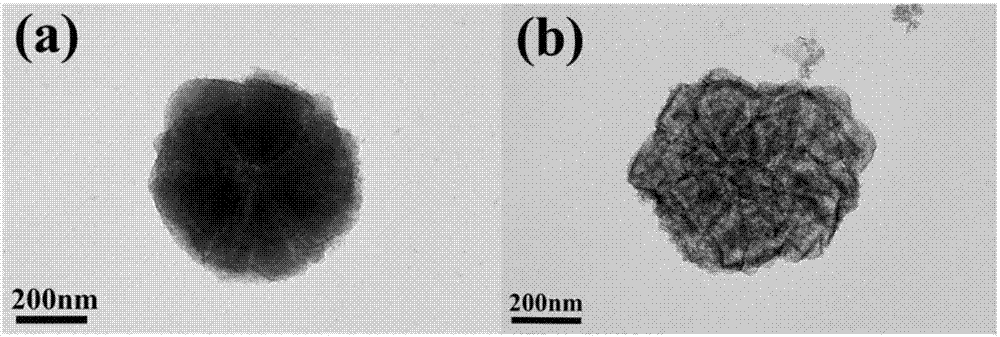 一種鋰硫電池用修飾隔膜及其制備方法與流程