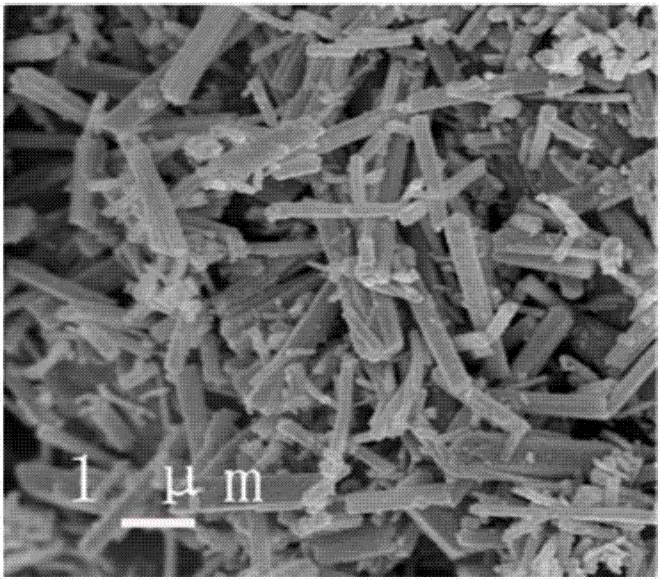 原位四氧化三铁‑碳核壳纳米颗粒的制备方法及其应用与流程