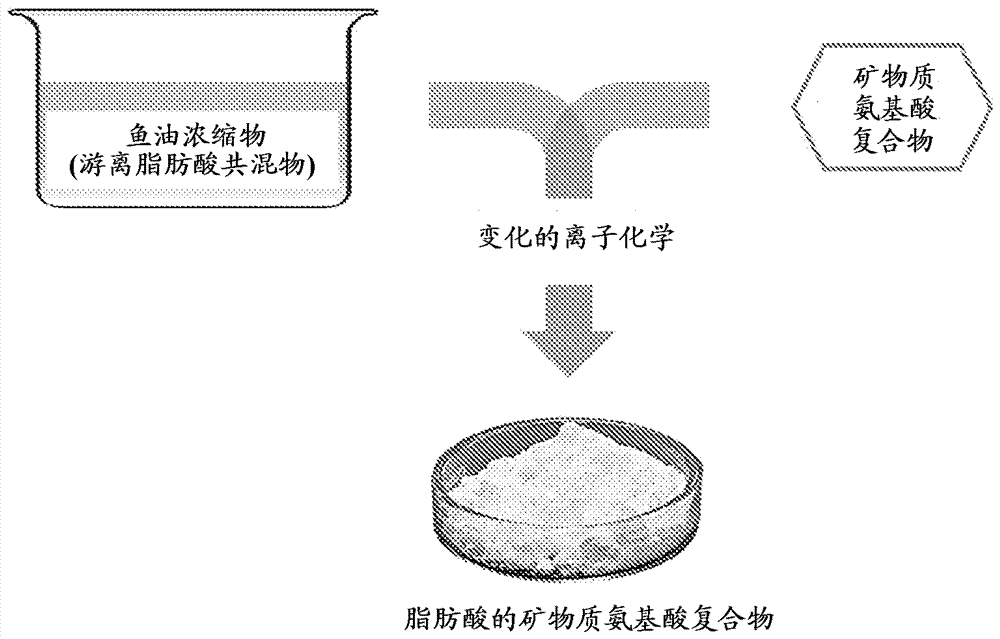 活性劑的礦物質(zhì)氨基酸復(fù)合物的制造方法與工藝