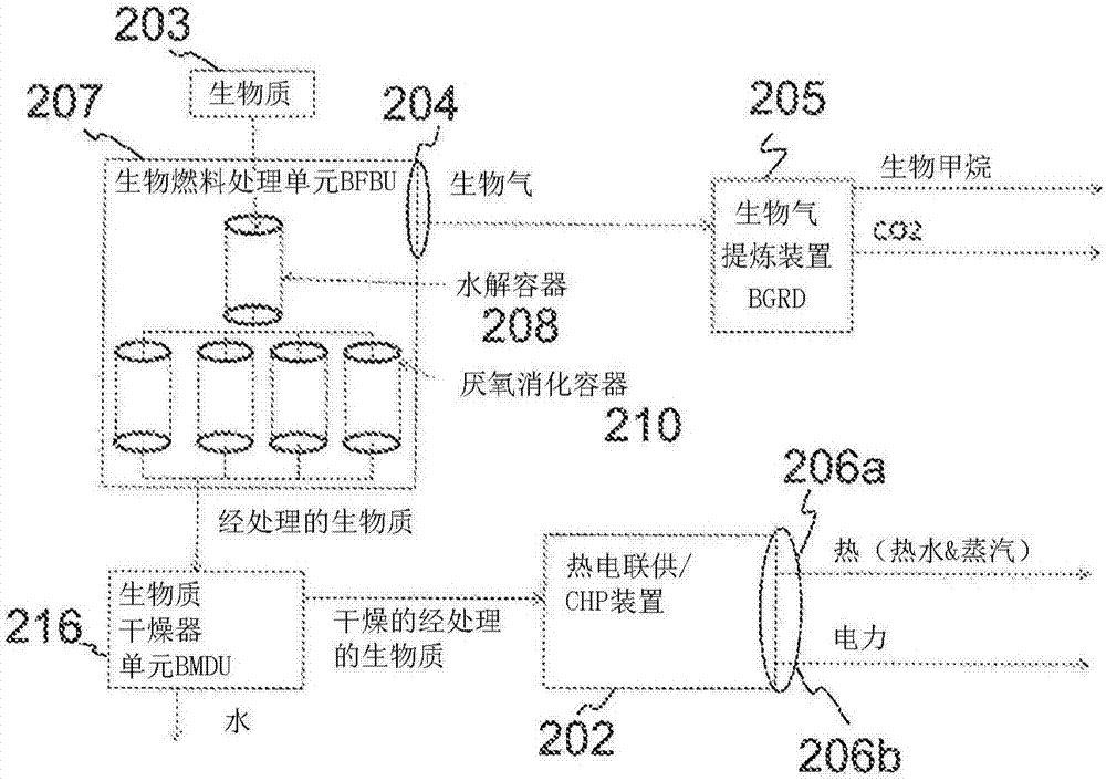 用于處理生物質(zhì)的系統(tǒng)和方法與流程