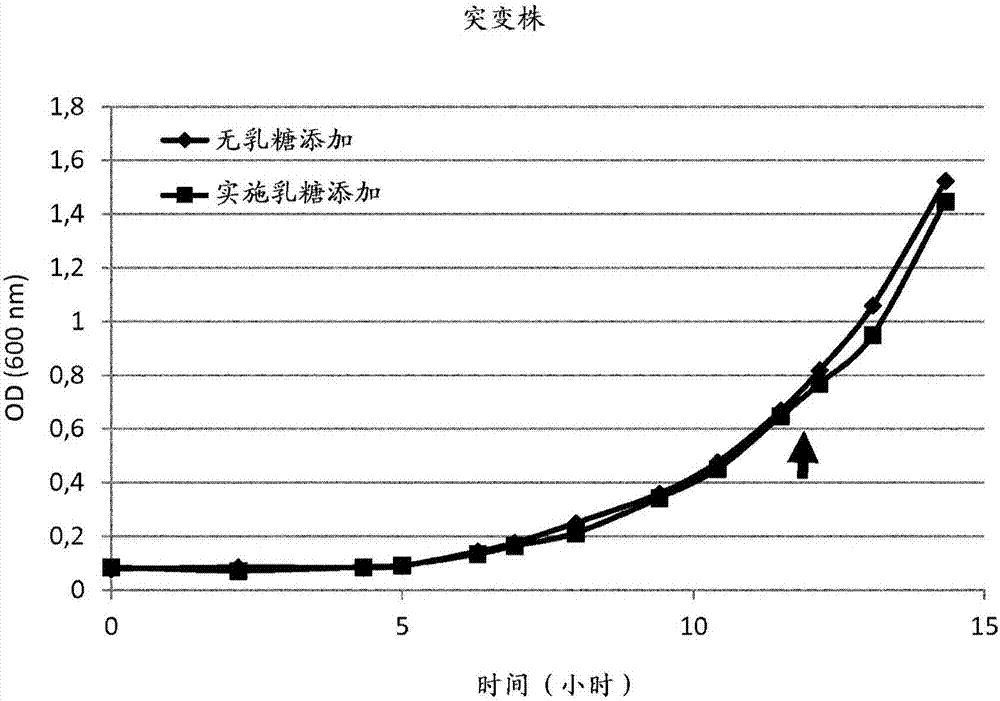 抵抗乳糖杀伤的突变体微生物的制造方法与工艺