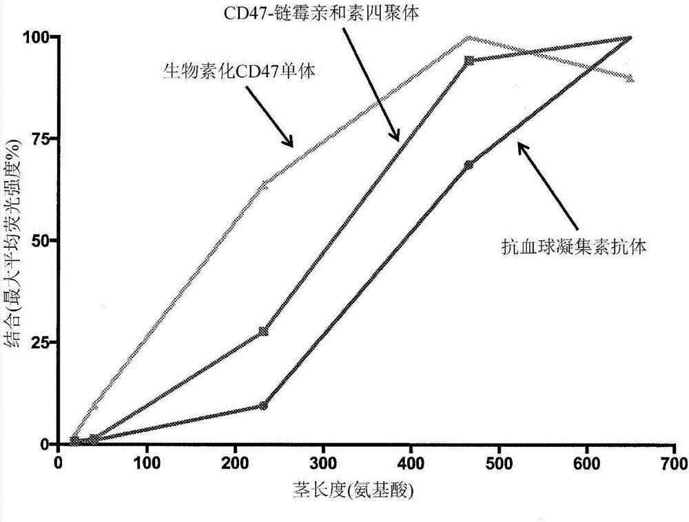 用于在细胞表面上表达多肽的组合物和方法与流程