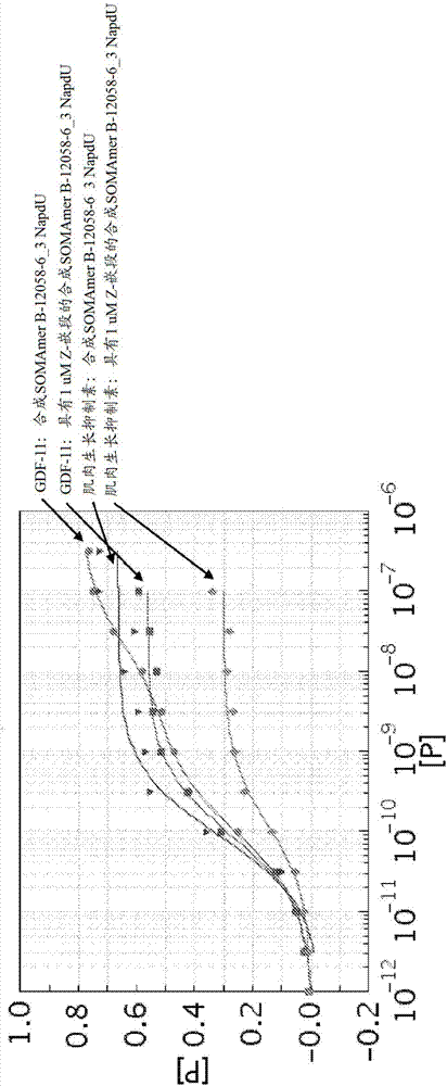 用于结合生长分化因子11的核酸化合物的制造方法与工艺