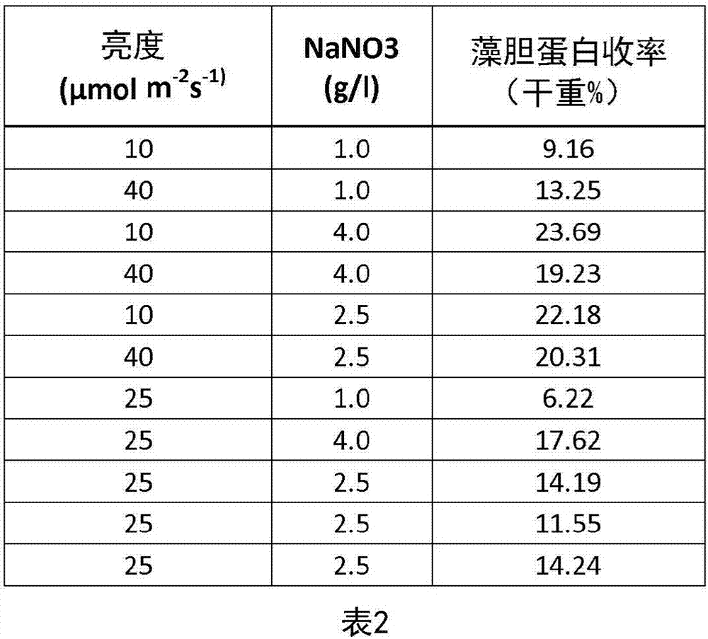 誘導(dǎo)藻膽蛋白合成的方法與流程