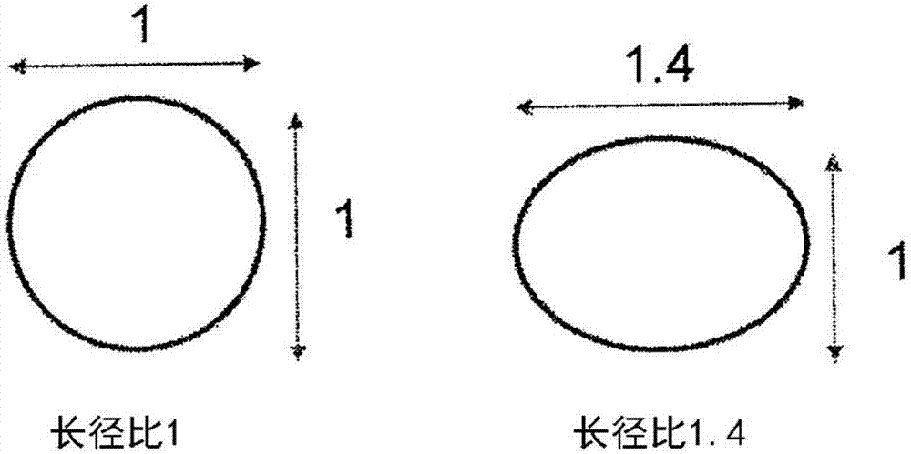 奧氏體系不銹鋼板和其制造方法與流程