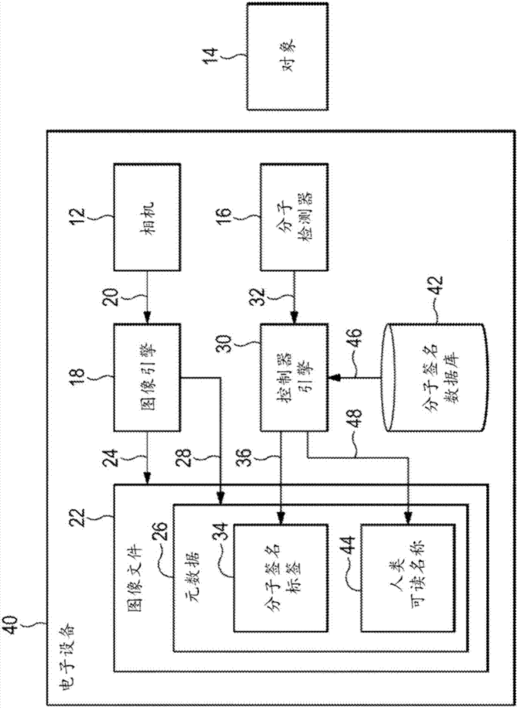 具有相機和分子檢測器的電子設(shè)備的制造方法與工藝