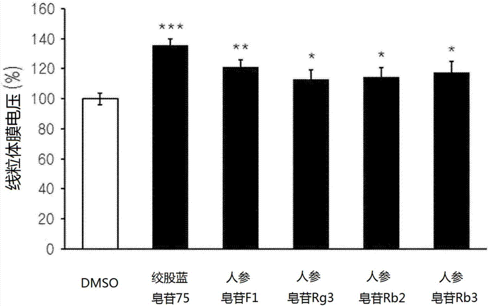 筛选线粒体活性激活剂的方法与流程