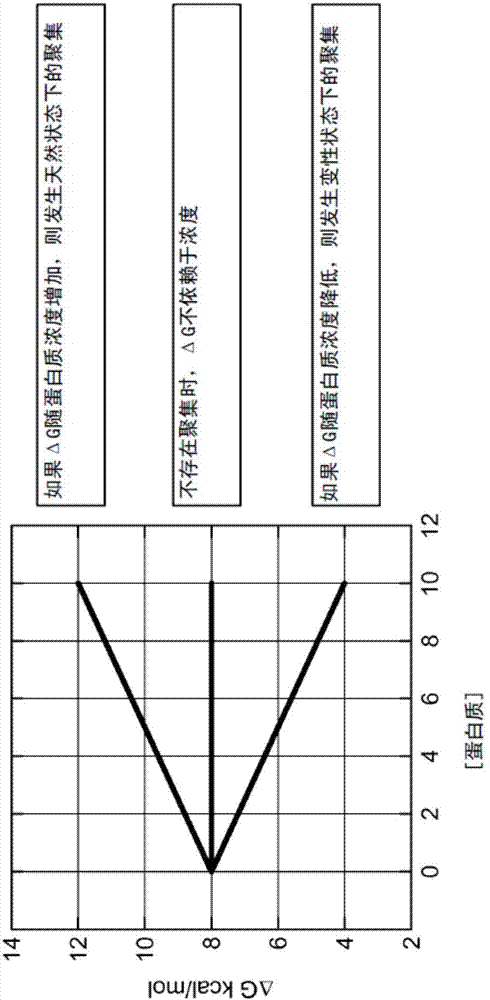 从ΔG的浓度依赖性来测定蛋白质聚集的制造方法与工艺