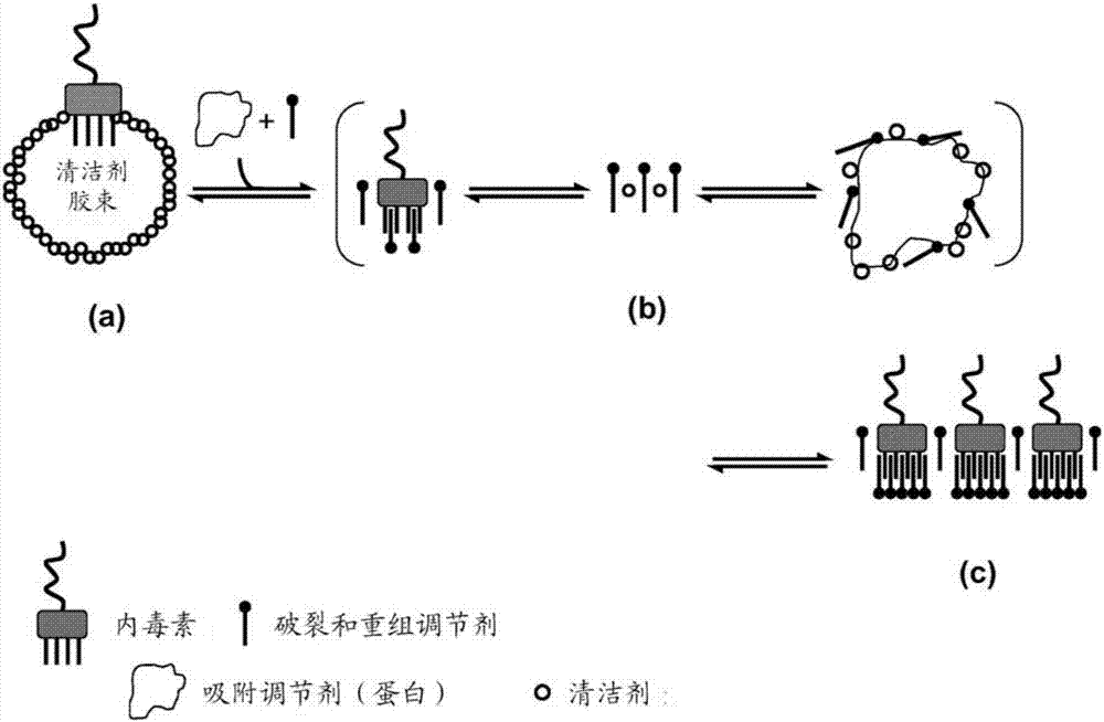 解蔽溶液中的内毒素的制造方法与工艺