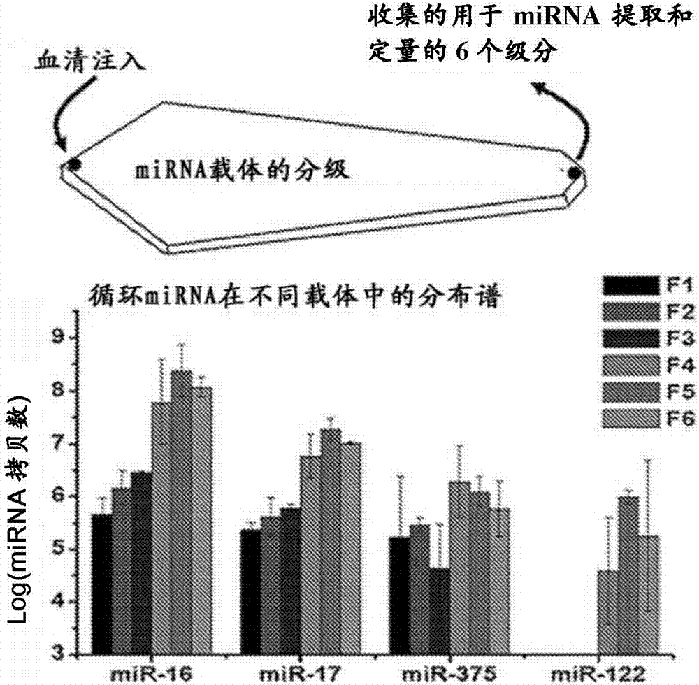 確定循環(huán)RNA的分布譜的方法與流程