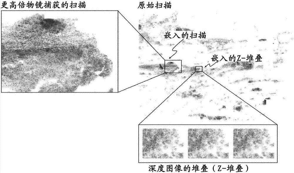 用于大視場顯微掃描中嵌入圖像的系統(tǒng)和方法與流程