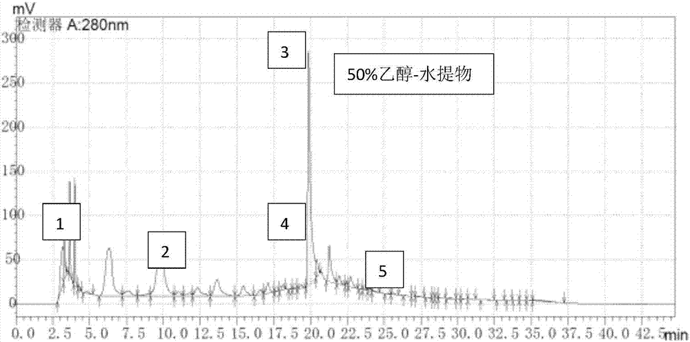 一種蒲公英提取物在美白防曬化妝品中的應用的制造方法與工藝