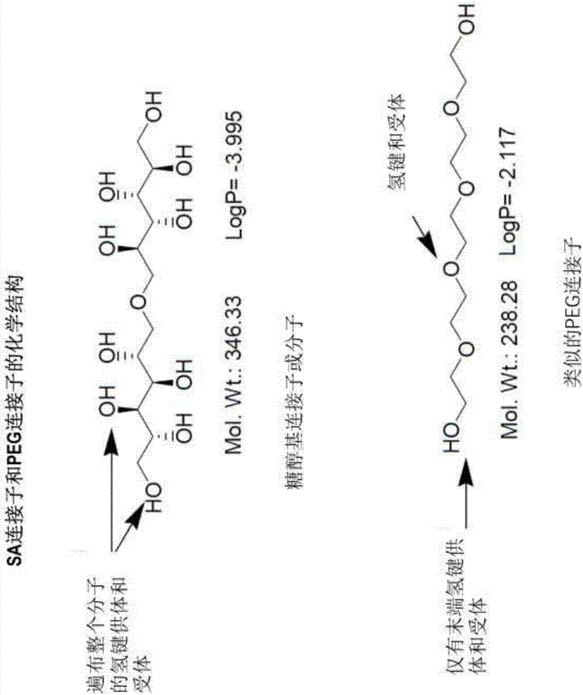 新交聯(lián)試劑、大分子、治療用偶聯(lián)物及其合成方法與流程