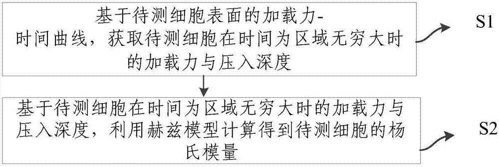 一種基于多孔介質(zhì)模型的細胞物理狀態(tài)的表征方法與流程