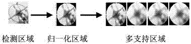 基于平穩(wěn)小波變換和亮度序的局部特征描述方法與流程