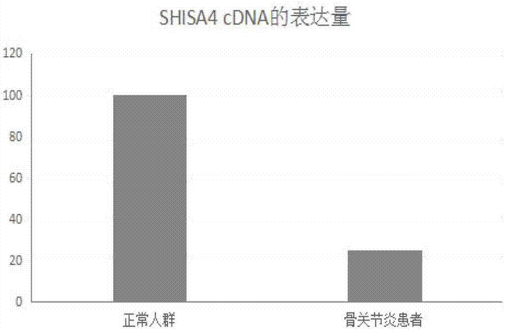 miR‑1288在诊断或治疗骨关节炎疾病中的应用的制造方法与工艺