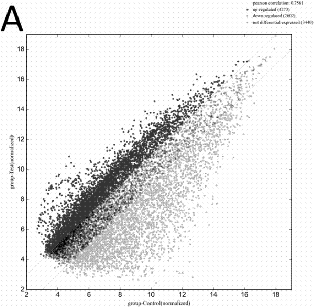 lncRNAsENST00000607393 SiRNA制备治疗青光眼制剂的应用的制造方法与工艺