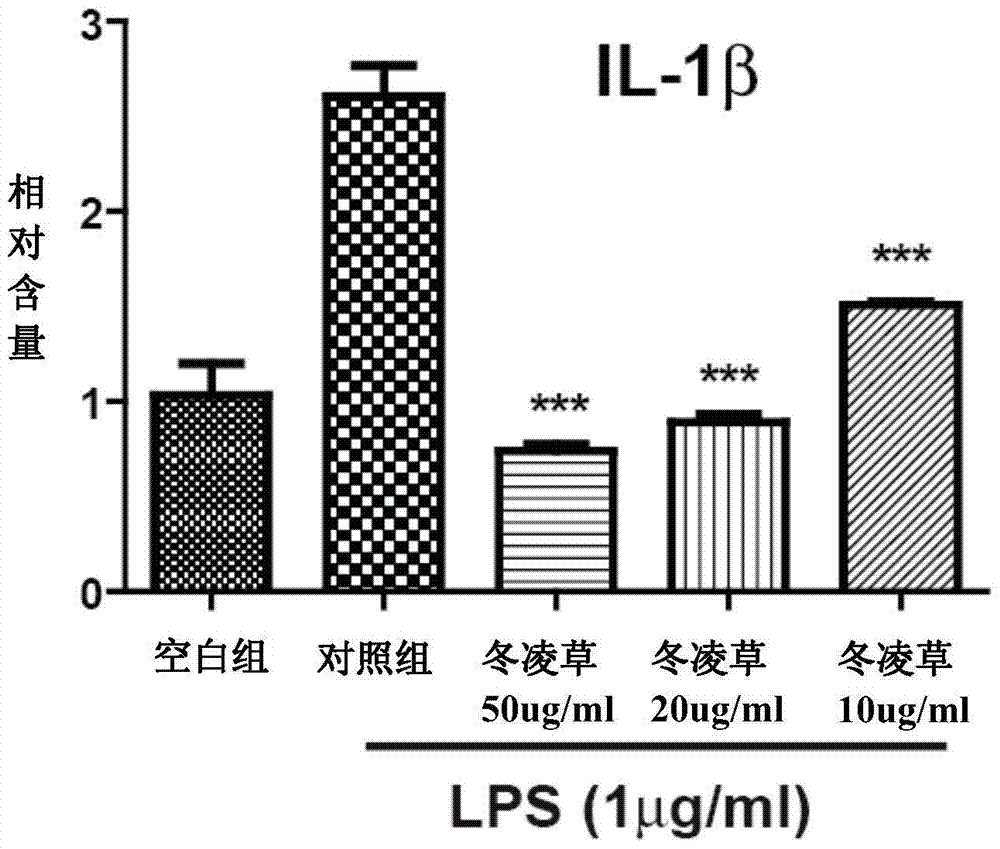 冬凌草治疗皮肤疾病的用途的制造方法与工艺