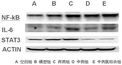 一种治疗结直肠癌前病变的中药组合物及其药物制剂与应用的制造方法与工艺