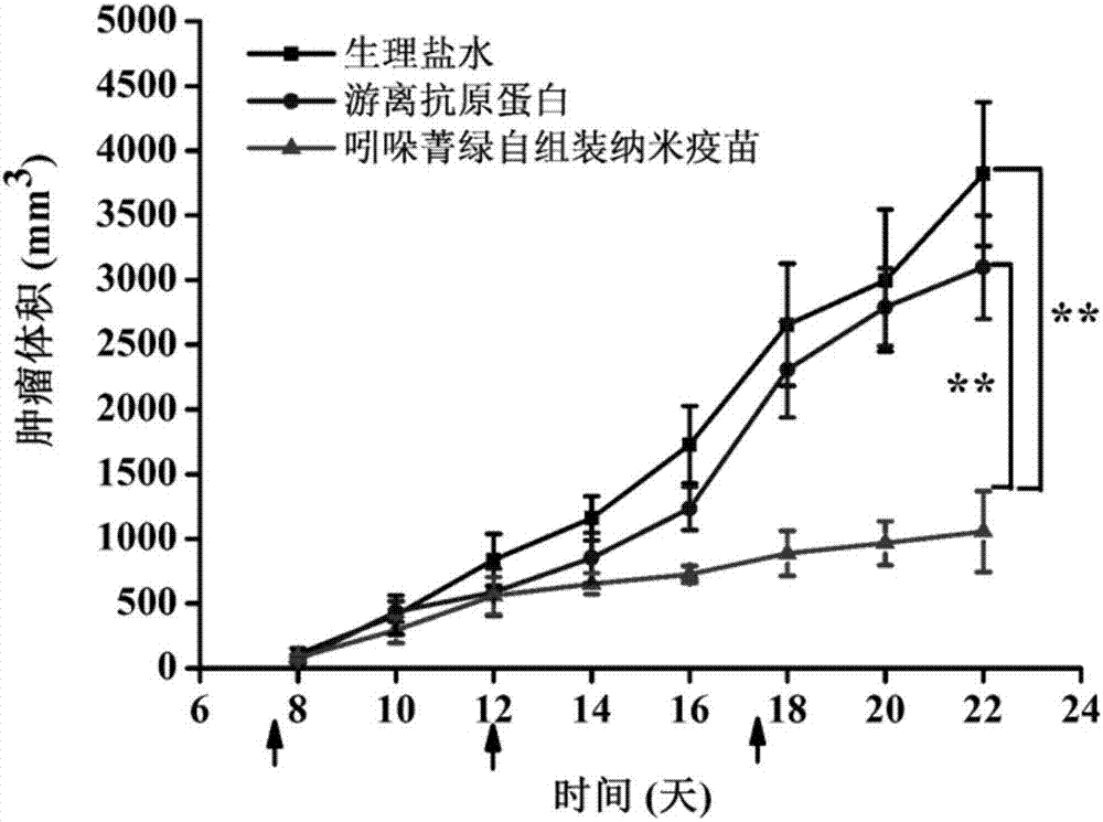 一種吲哚菁綠自組裝納米疫苗及制備方法與流程